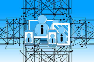 九游下载官网-中国青少年篮球发展政策实施与推广策略，青少年篮球发展现状及对策研究