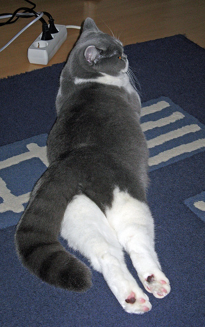 国足落点传球与球员跑位默契度对比,国足点球踢飞