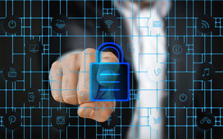 九游9游-数字化体育资源共享平台建设与管理，数字体育平台是什么