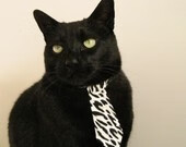 塞内加尔男篮在非洲锦标赛中奋勇争先,体育势头锐不可挡,南非洲杯塞内加尔