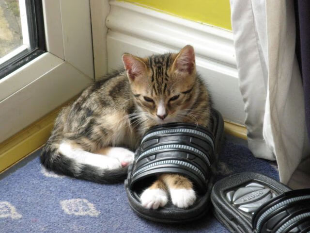 德甲战术多变:变化多端,引领足球新潮!,德甲技术特点