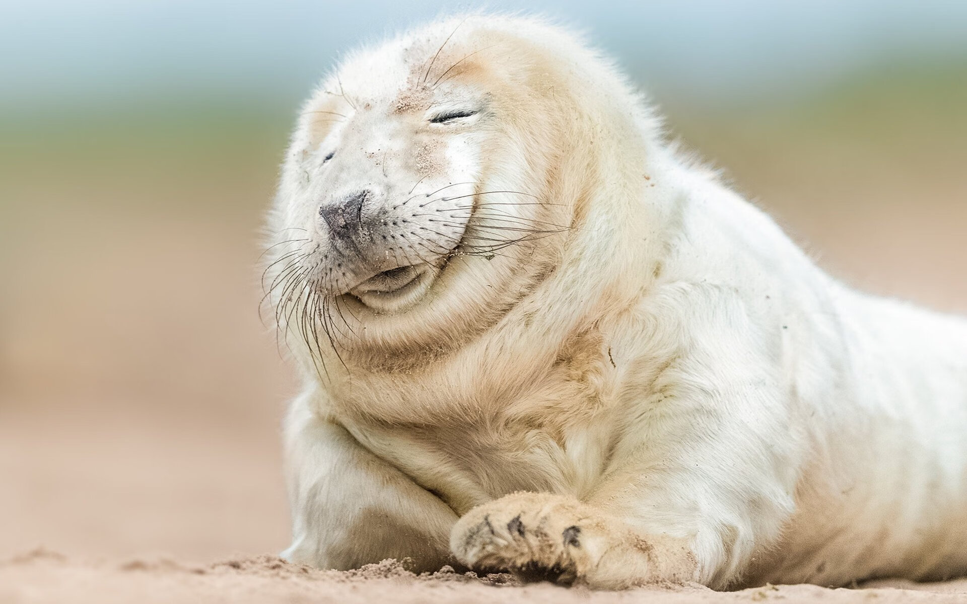 托里·哈斯克100米自由泳赛场表现稳健,美国游泳哈斯克