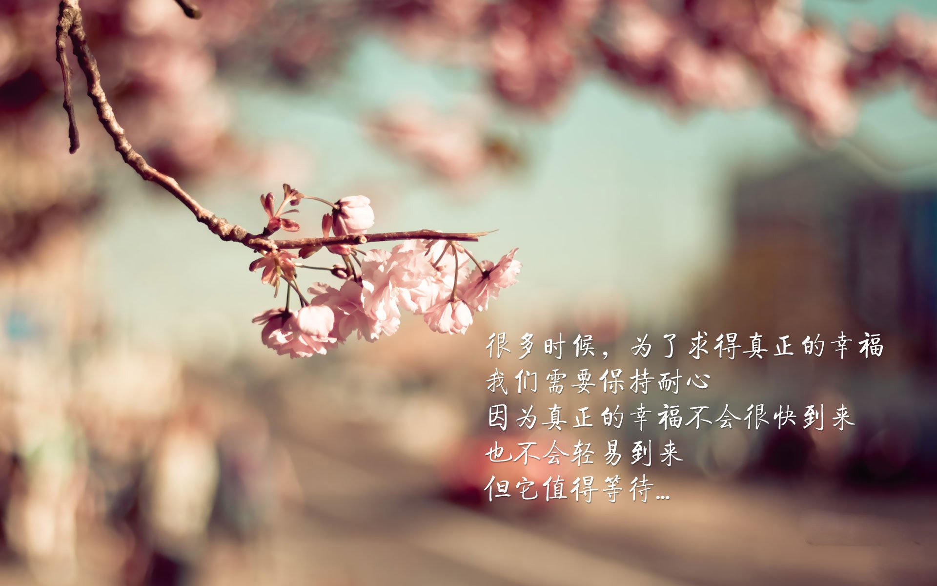 数字化青训平台实现个性化训练计划,提升青少年发展质量,全国青少年数字化平台