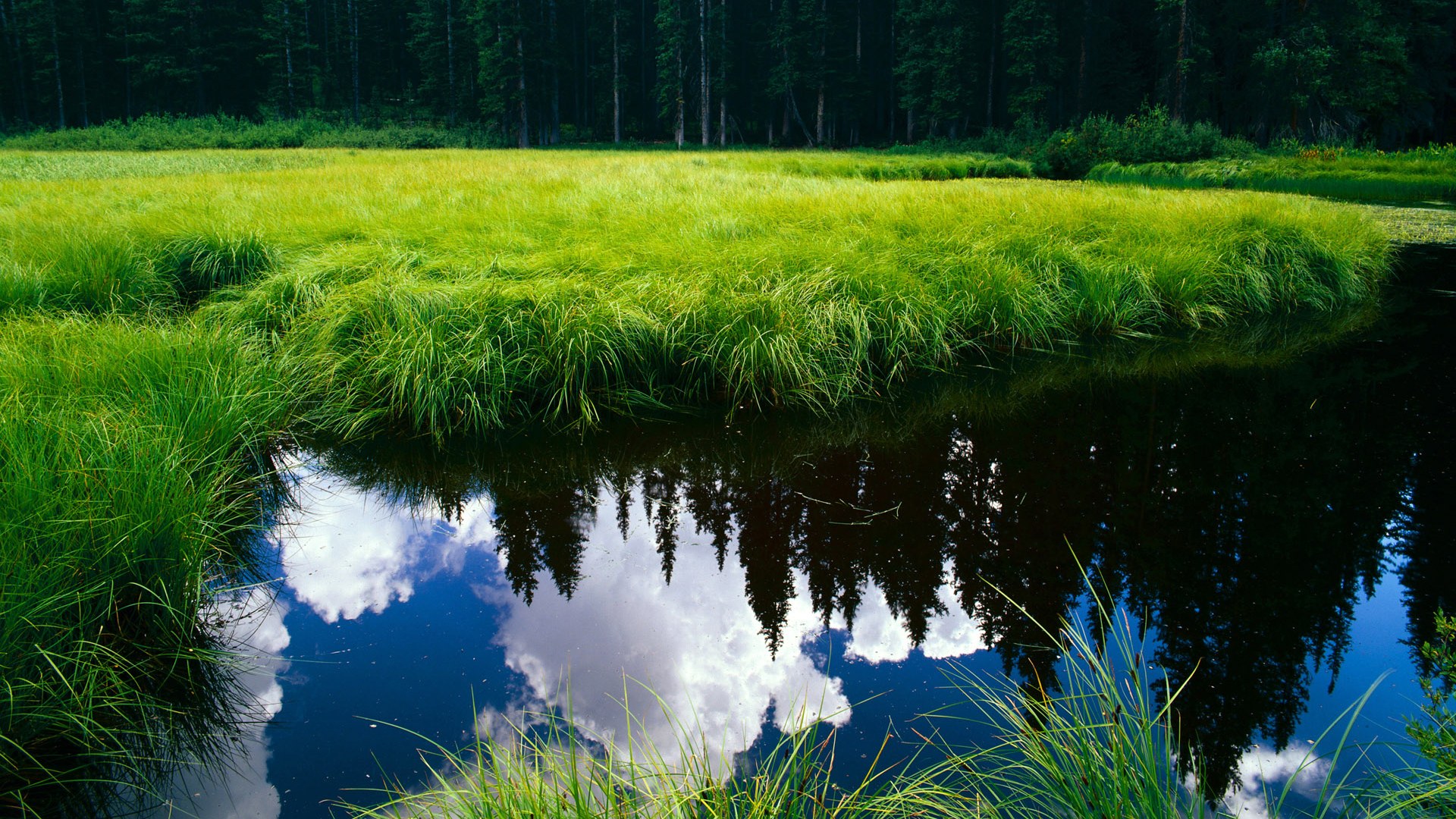 法甲变阵奇兵:战术多变引爆现场!,法甲变天