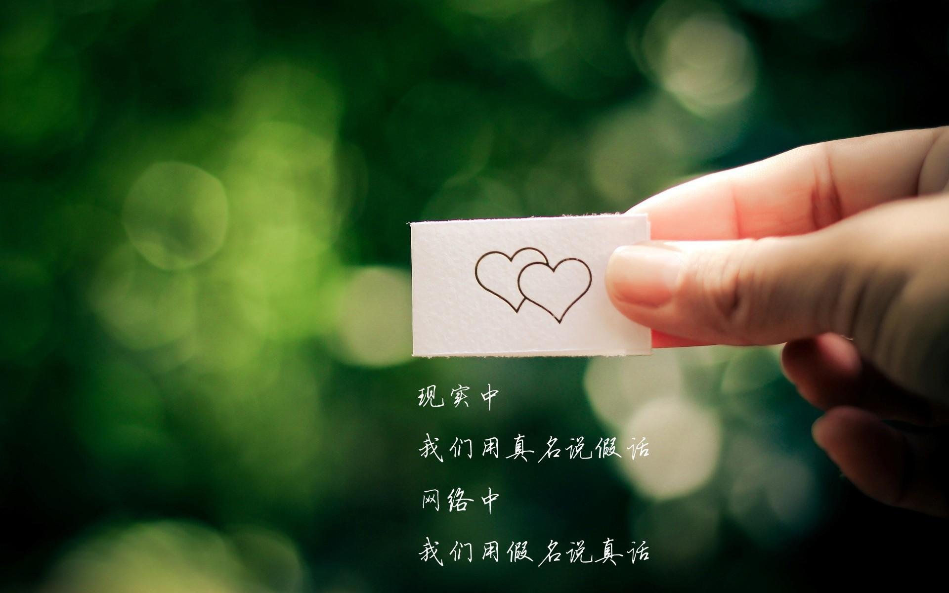 -谢佩玲高难度动作成夺冠关键，谢佩璇图片